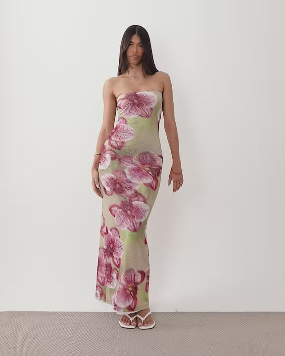 Sheer mesh bandeau maxi dress in green floral
